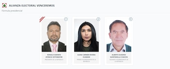 Lista de vicepresidentes en Perú 2026: estos son los acompañantes de cada candidato: Captura: ONPE.