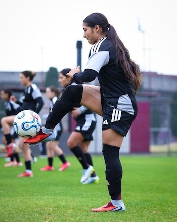 Antonio Spinelli – Selección Peruana Femenina – Liga de Naciones Femenina - Perú – deportes – 4 junio