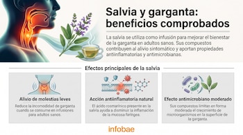 Ilustración de una sección de garganta, rama de salvia con flores, taza de infusión y tres recuadros con gráficos e información.