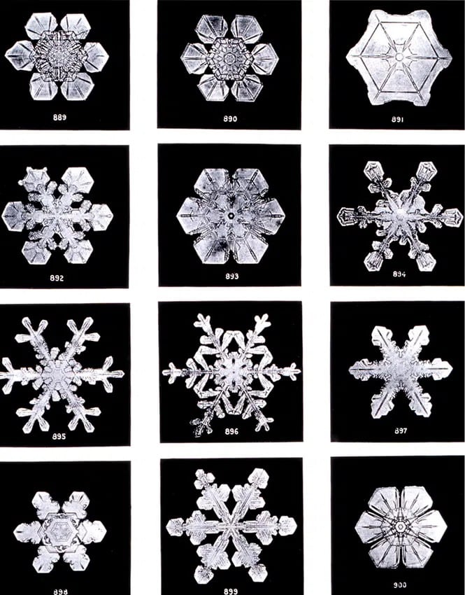 El libro 'Snow Crystals', publicado en 1931 gracias al apoyo del meteorólogo William J. Humphreys, recopiló 2.500 fotografías históricas de Bentley (Wikimedia)