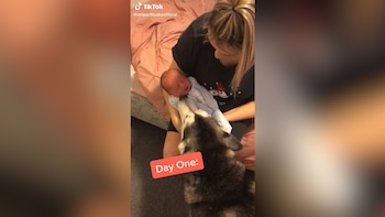 El día uno cuando Millie