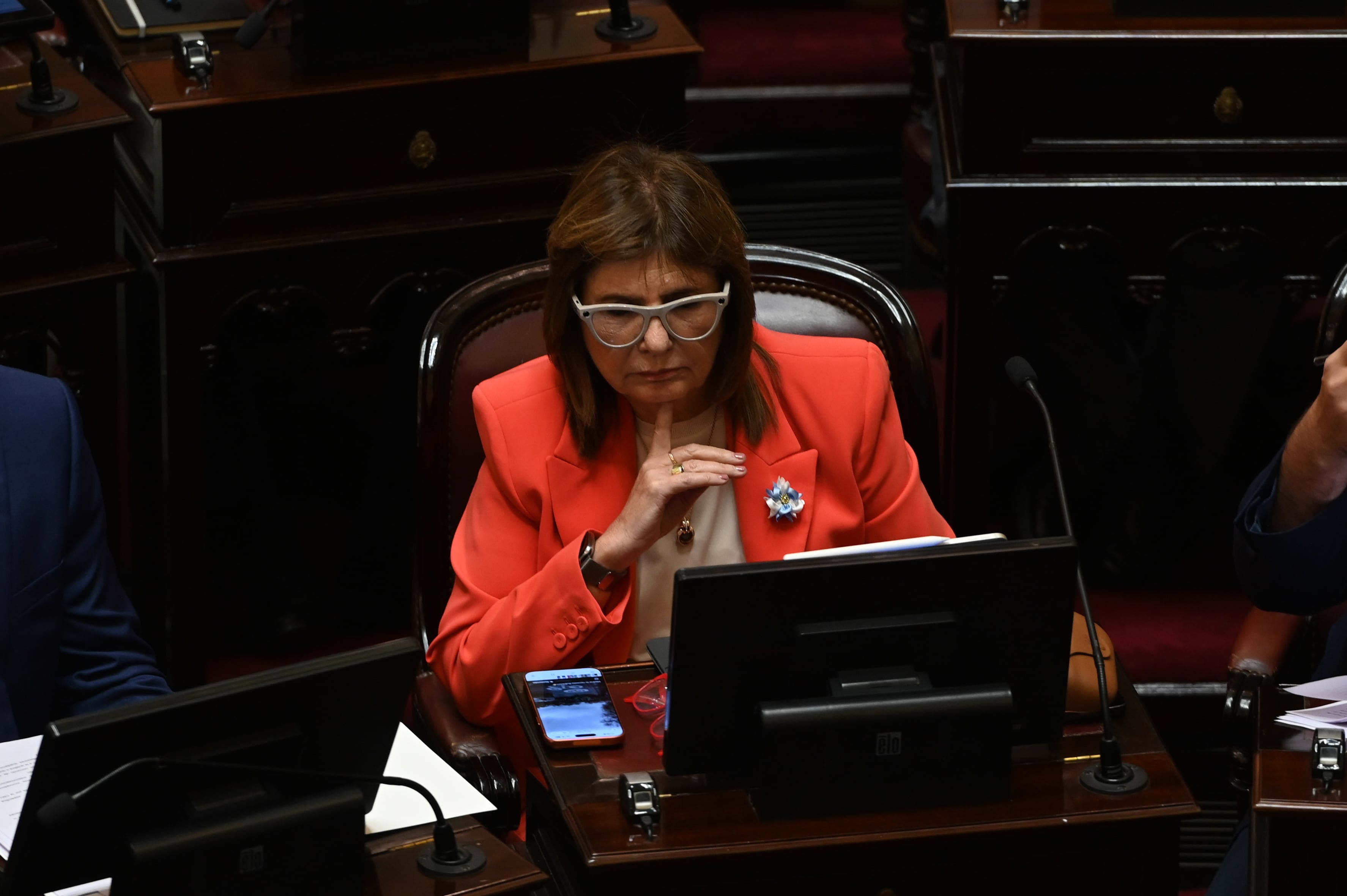 Patricia Bullrich, este mediodía en el Congreso (RS Fotos)