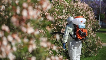 Un hombre de 89 años, segunda víctima mortal en Andalucía por el virus del Nilo