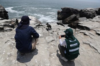 SERFOR National Forest Service personnel