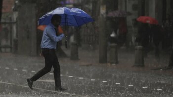 Defensores de los derechos de