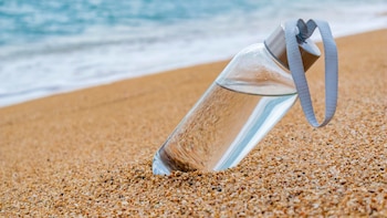 Dentro de los nutrientes esenciales,