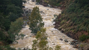 Regresan a su residencia los