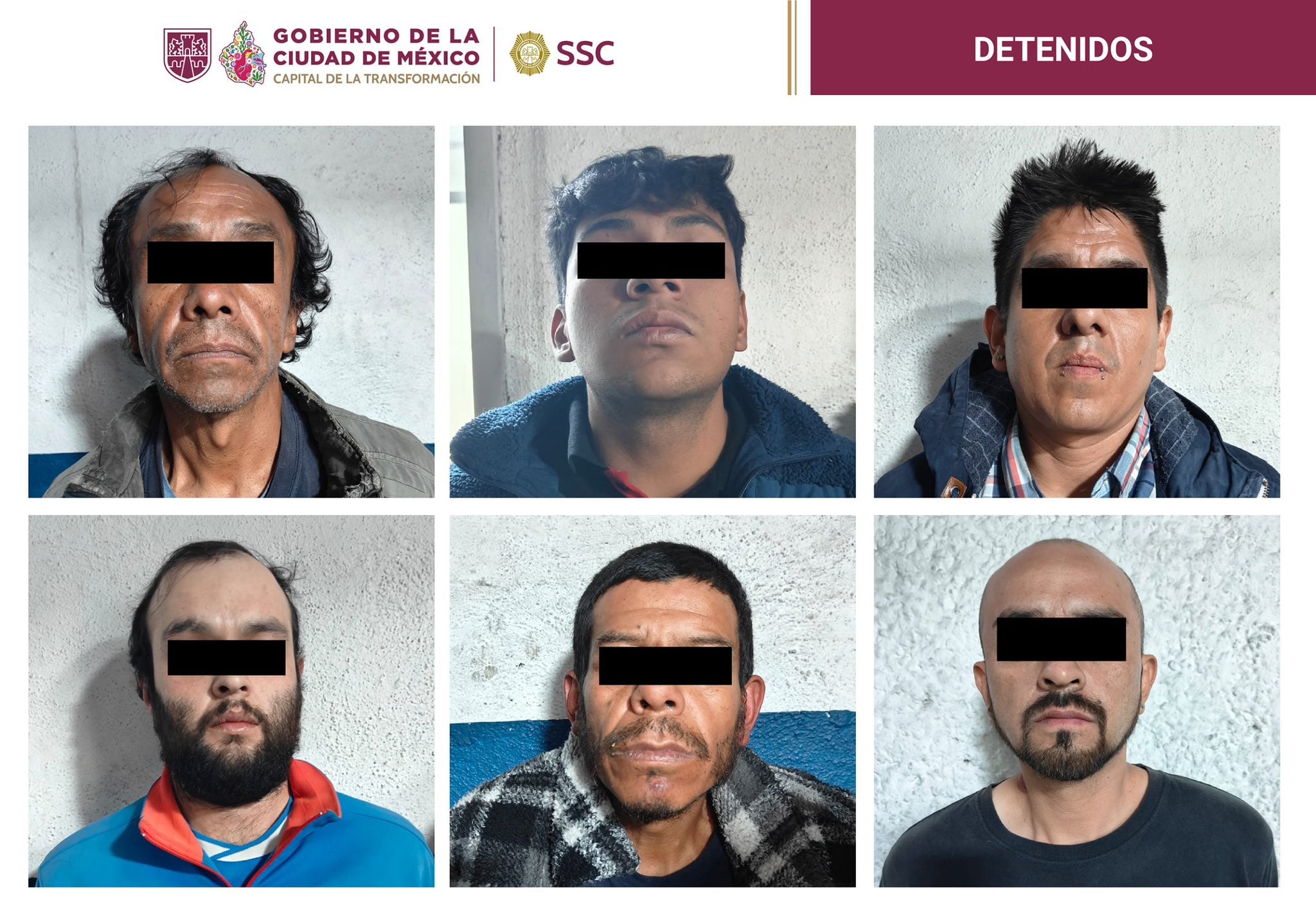 Durante el operativo también se aseguraron: un cocodrilo, una iguana y dos ajolotes. (Crédito: X / @PabloVazC)