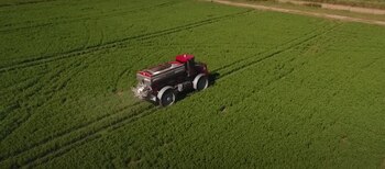 Las cuentas de la urea