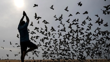 Turismo de bienestar gana terreno: