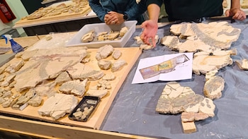 Fragmentos de pinturas murales hallados