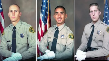 Los tres agentes formaban parte