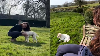 Lucia comparte en TikTok los