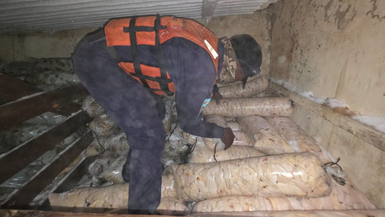 La captura de langosta está autorizada hasta el 28 de febrero de 2027, pero las restricciones sobre el caracol continúan vigentes para proteger su reproducción, según el acuerdo ministerial citado (Foto cortesía Fuerza Naval de Honduras)