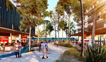 En el desarrollo el 50%