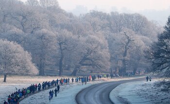 Más allá de las bajas