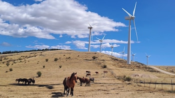 Imagen MNPOFJISEVE3DIS46PGRSNJRGM