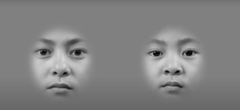 Por qué el cerebro humano procesa las imágenes con 15 segundos de retraso en lugar de actualizarse en tiempo real