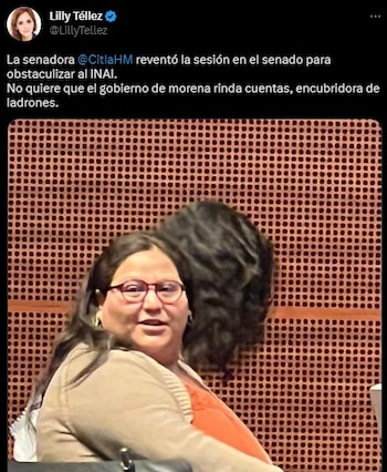 Lilly Téllez Citlalli Hernández