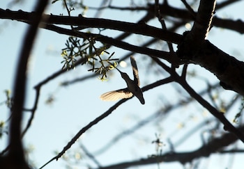 FOTO: MARGARITO PÉREZ RETANA
