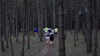 Durante el verano, habrá varias
