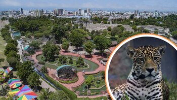 Cientos de familias se dan