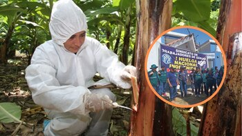 Paro del Senasa: huelga indefinida