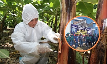 Diversos gremios han expresado su