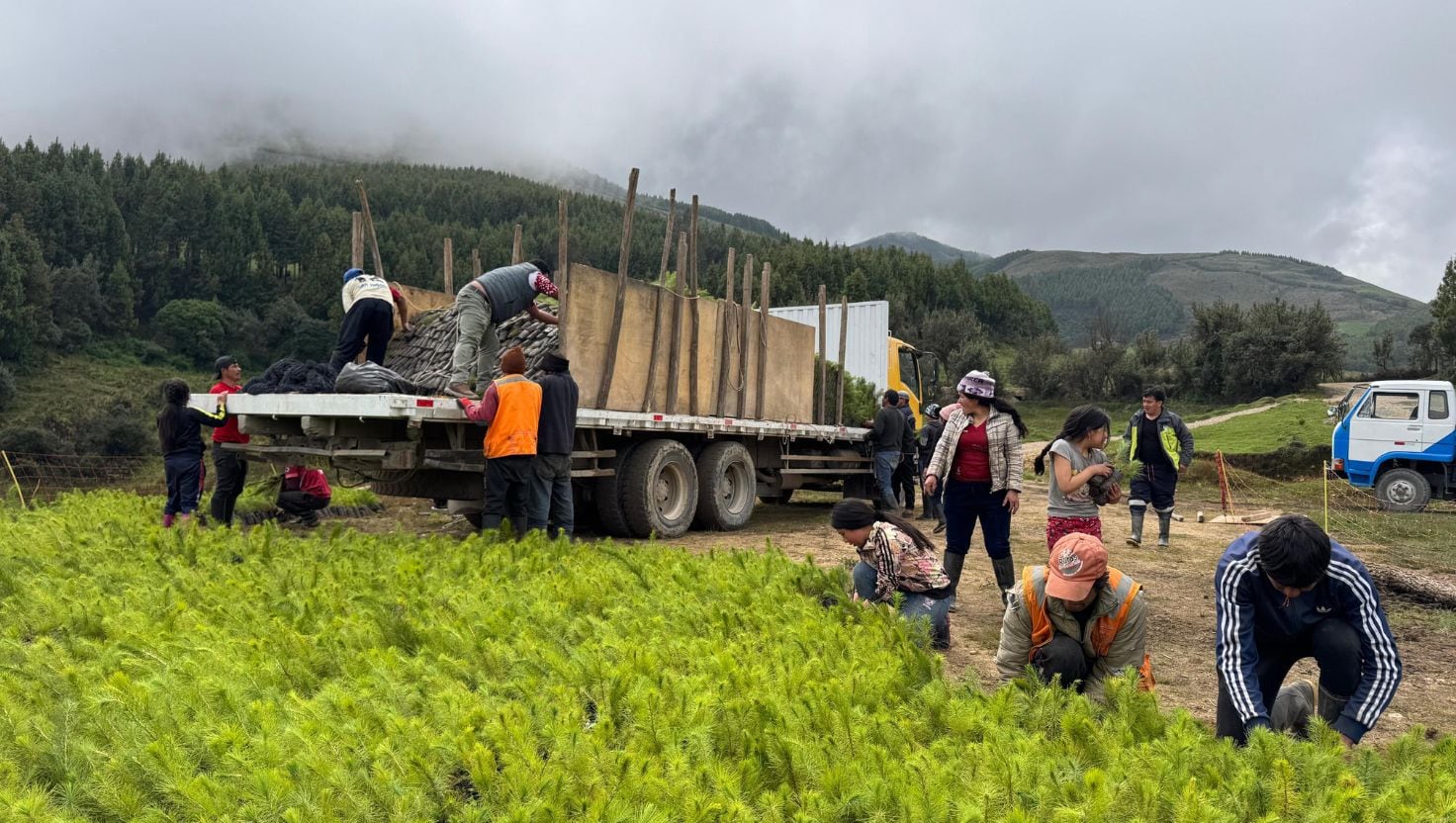 Los trabajos de la ANA se concentraron en Perlamayo Tres Lagunas y Pampa Grande, con prioridad en la recuperación de zonas degradadas de las cabeceras de cuenca.