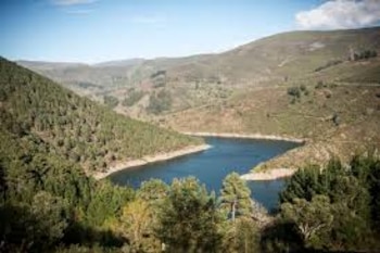 Negueira de Muñiz (Concello de