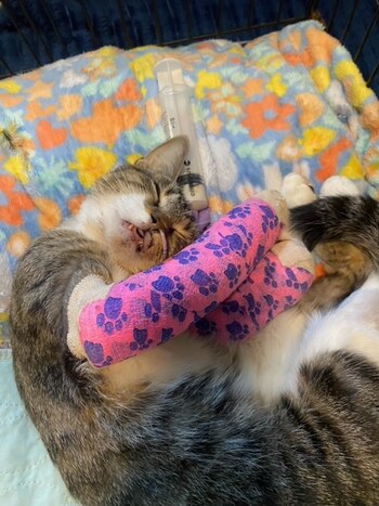 La lesión más grave que