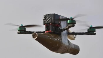 Los expertos destacaron que los