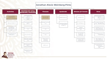 Entramado empresarial de Alexis Weinberg. Crédito: Presidencia de México