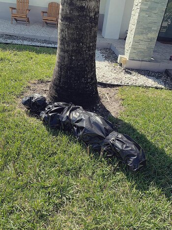 One of the bagged bodies was at the foot of a tree (Photo: Facebook)