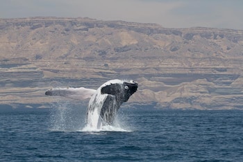 Mincetur informó que Los Órganos registró más de 48 mil pernoctaciones y una ocupación hotelera del 24 % por el impacto del turismo de naturaleza.
