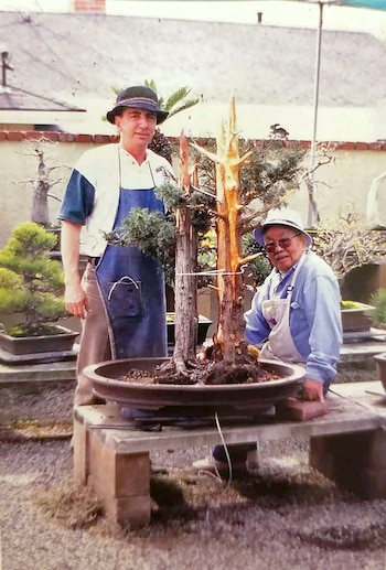 Desde su creación, Goshin ha