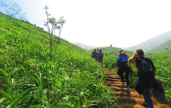 Un grupo de personas sube por un sendero de tierra con escalones rústicos entre colinas cubiertas de vegetación verde bajo un cielo claro