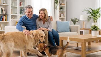 Una experta en limpieza te explica cómo hacer que tu casa no huela a perro ni acumule pelos