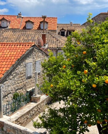 También disfrutaron de los pintorescos