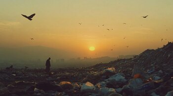 La percepción social de los