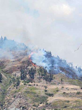 Llamas y columnas de humo sobre la ladera de una montaña con árboles dispersos y vegetación seca