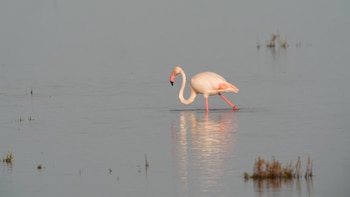Estación Biológica señala que las