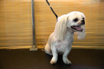 Imagen MOU3NSRXRNHDTLNEYSFE67FICA