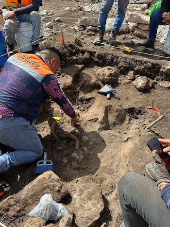 Un hombre con chaleco de arqueología retira tierra sobre el suelo junto a un cepillo, un recogedor y otras personas