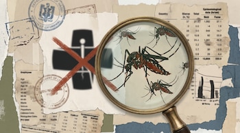 Collage digital con papeles rasgados, sellos oficiales y tablas epidemiológicas borrosas. Una lupa central agranda mosquitos Aedes aegypti. Detrás, el logo del MINSA difuso y tachado en rojo.