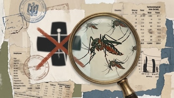 Alerta en Nicaragua por reaparición del Chikungunya: MINSA reporta 12 casos en medio de vacíos epidemiológicos