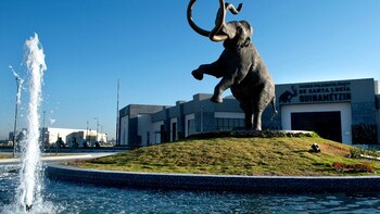Qué tesoros resguarda el Museo