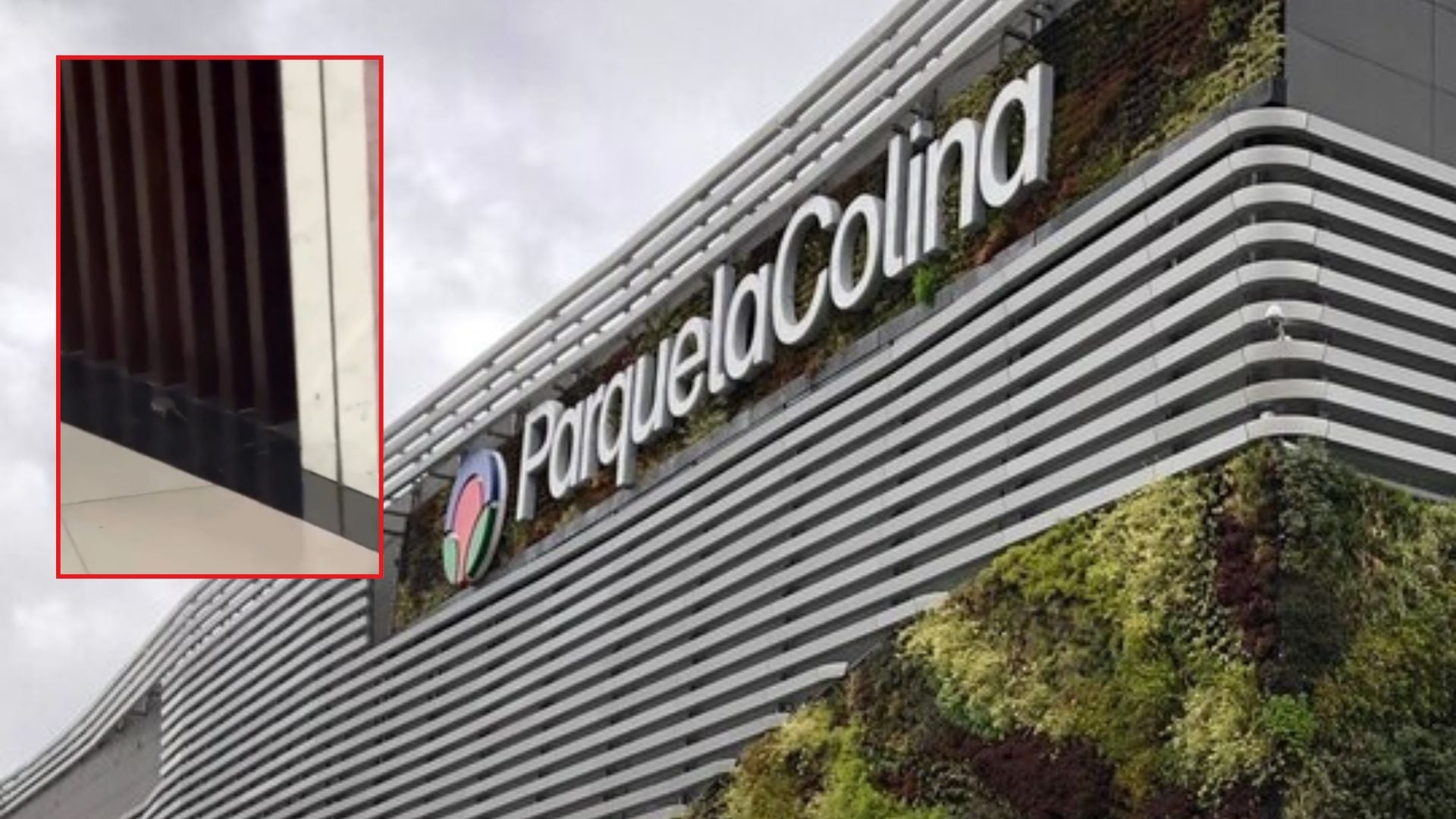 Las autoridades identificaron fallas en las medidas preventivas para evitar el ingreso de plagas - crédito @chibcholandia/X y @SectorMovilidad/X