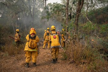 Bomberos de diferentes partes del