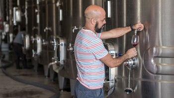 El Grupo Altos de Tinogasta